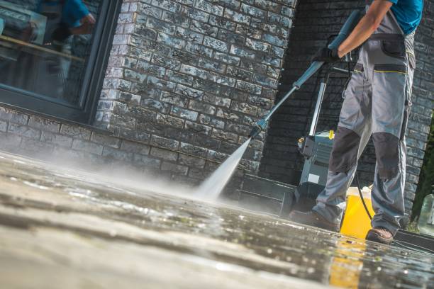 Best Gutter Cleaning  in La Grange, NC